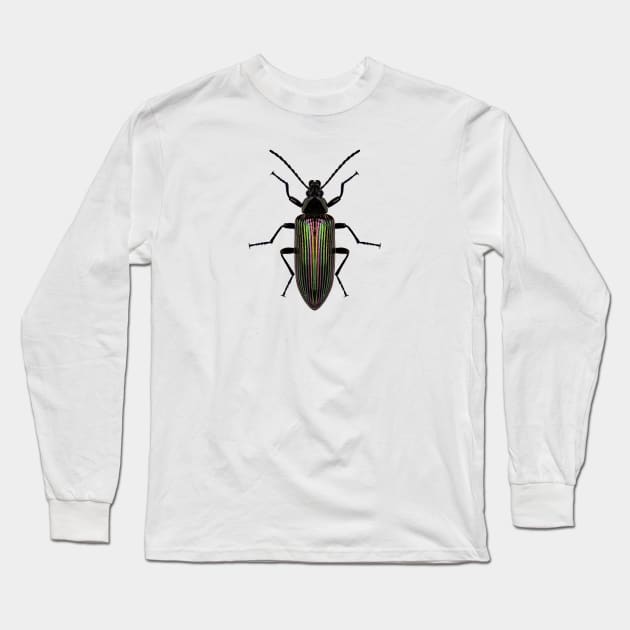 Darkling Beetle Long Sleeve T-Shirt by InsecTees by Dom Lever